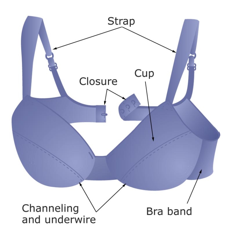 Hooked On Bra Guide